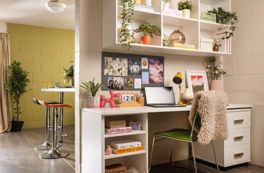 Spring Garden, City Centre, Aberdeen - Image 3